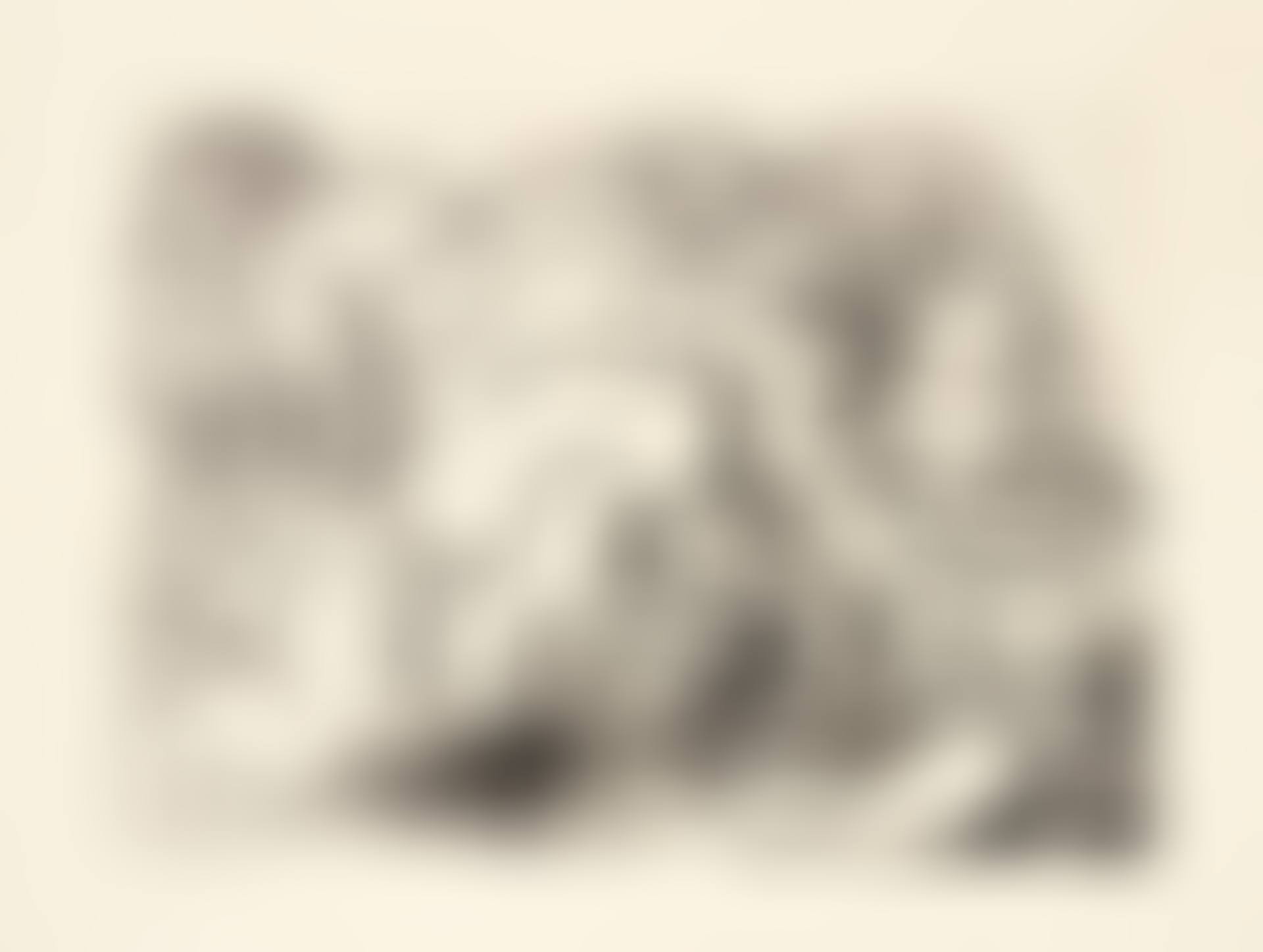 MINOTAURE ATTAQUANT UNE AMAZONE (B. 195; BA. 356) (preview)