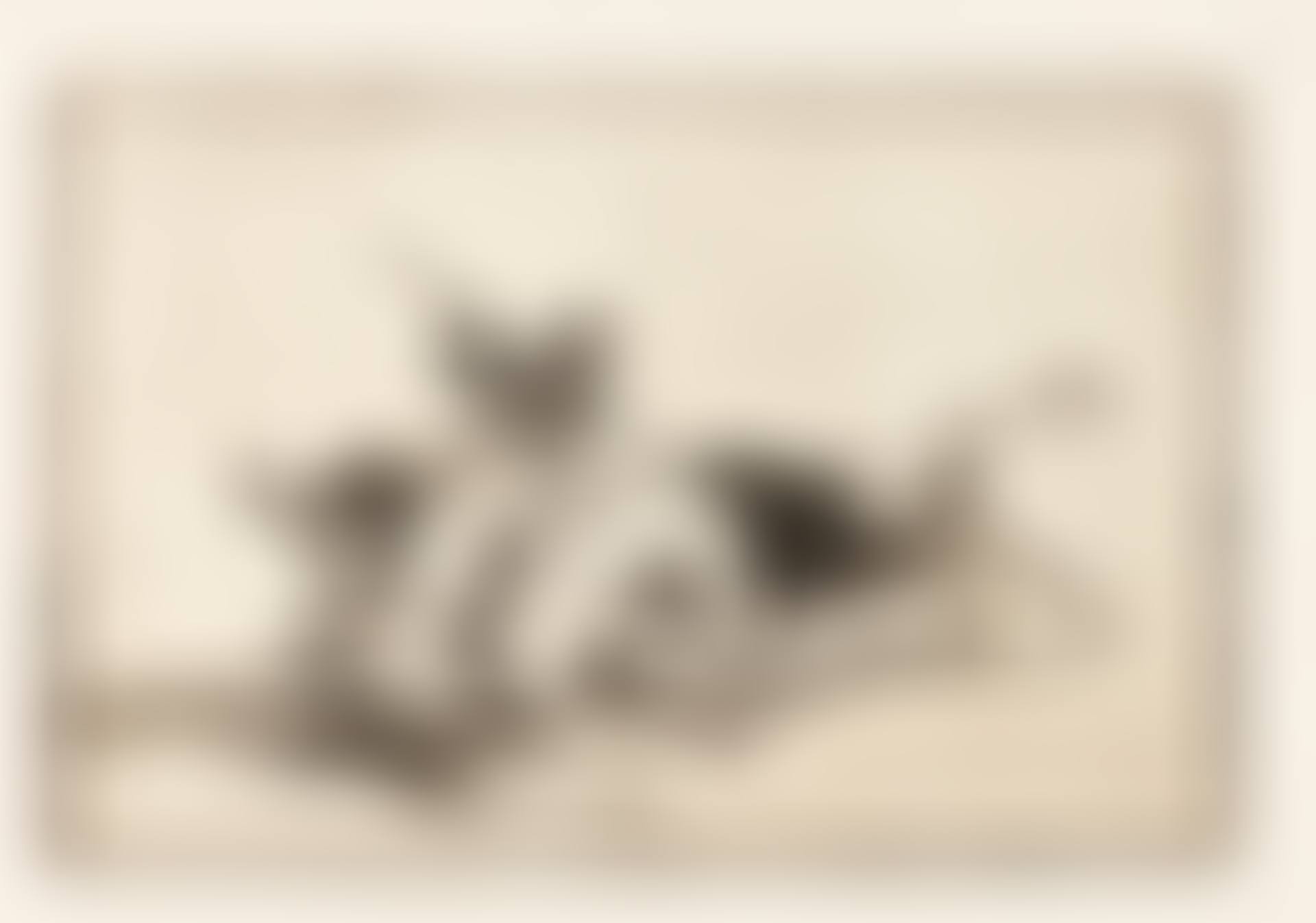 LA TAUROMAQUIA (D. 224-263; H. 204-243) (preview)