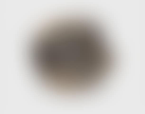 Untitled (Plate) (preview)