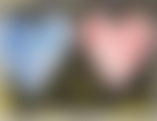 Two Hearts at Sunset (preview)