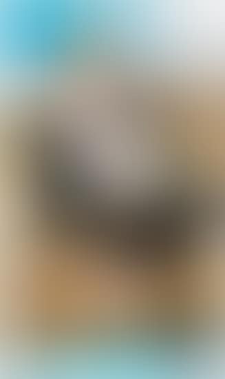 Matt Siegle (preview)