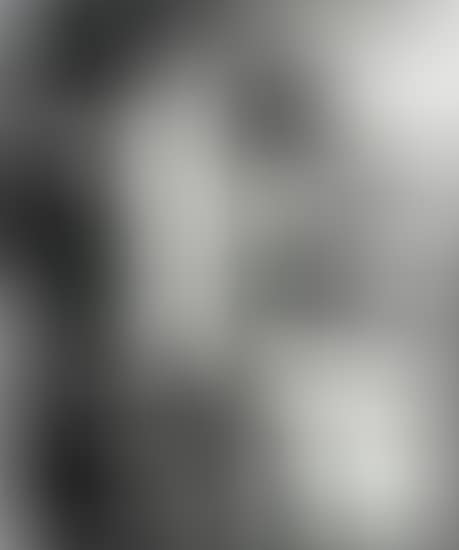 Lion (preview)