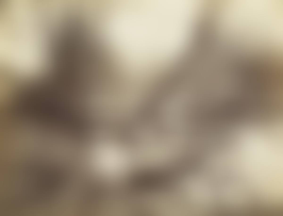 Ville D'avray (preview)
