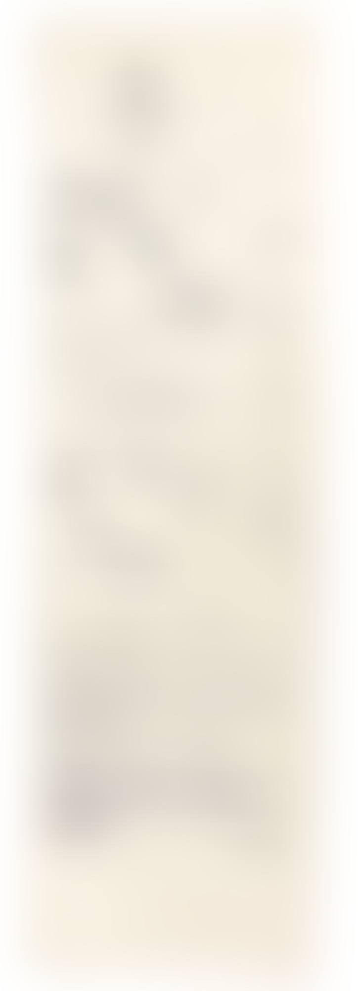 UNTITLED (GOBELINO EMPALMADO) (preview)