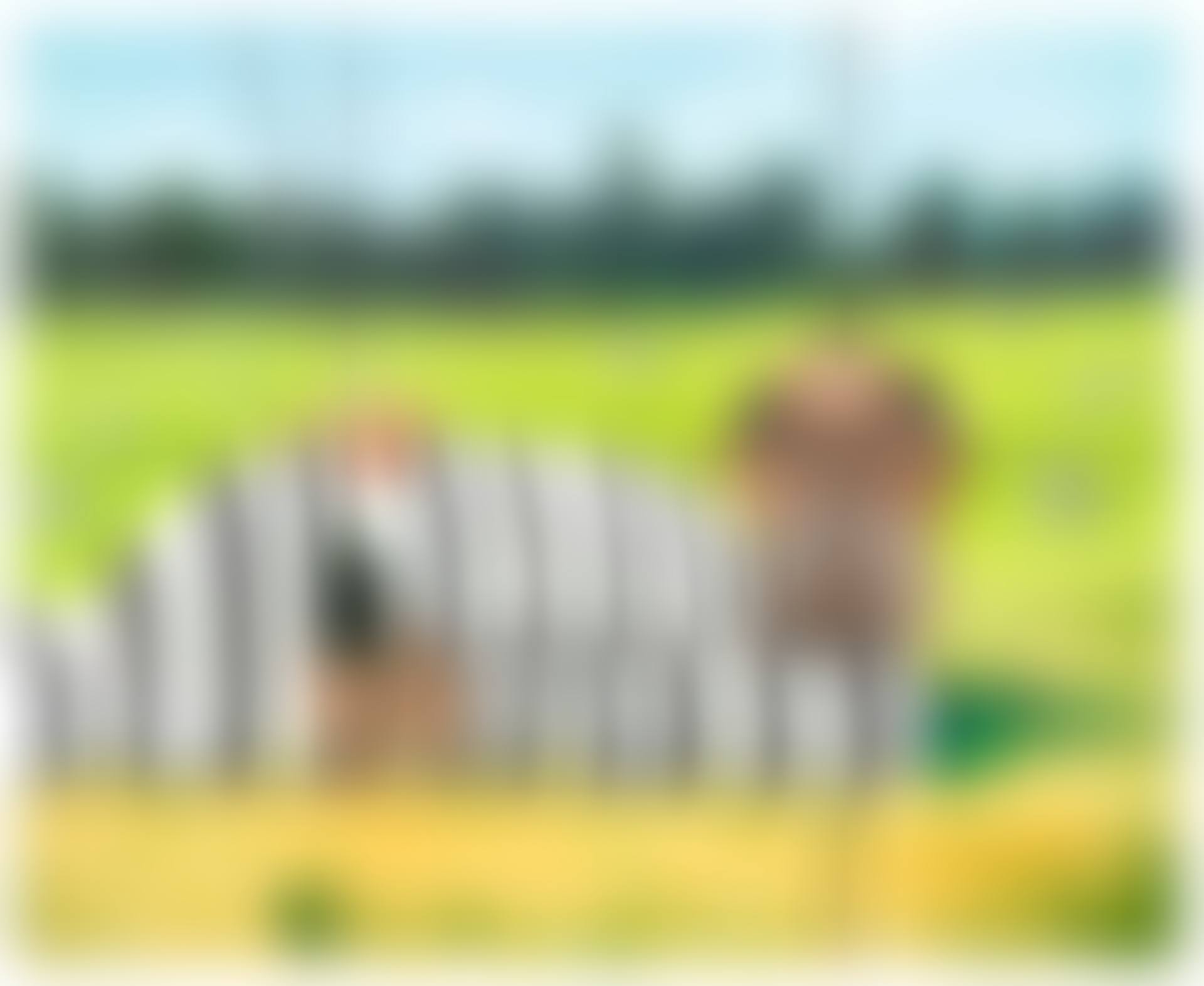 THE PRISONER  (preview)