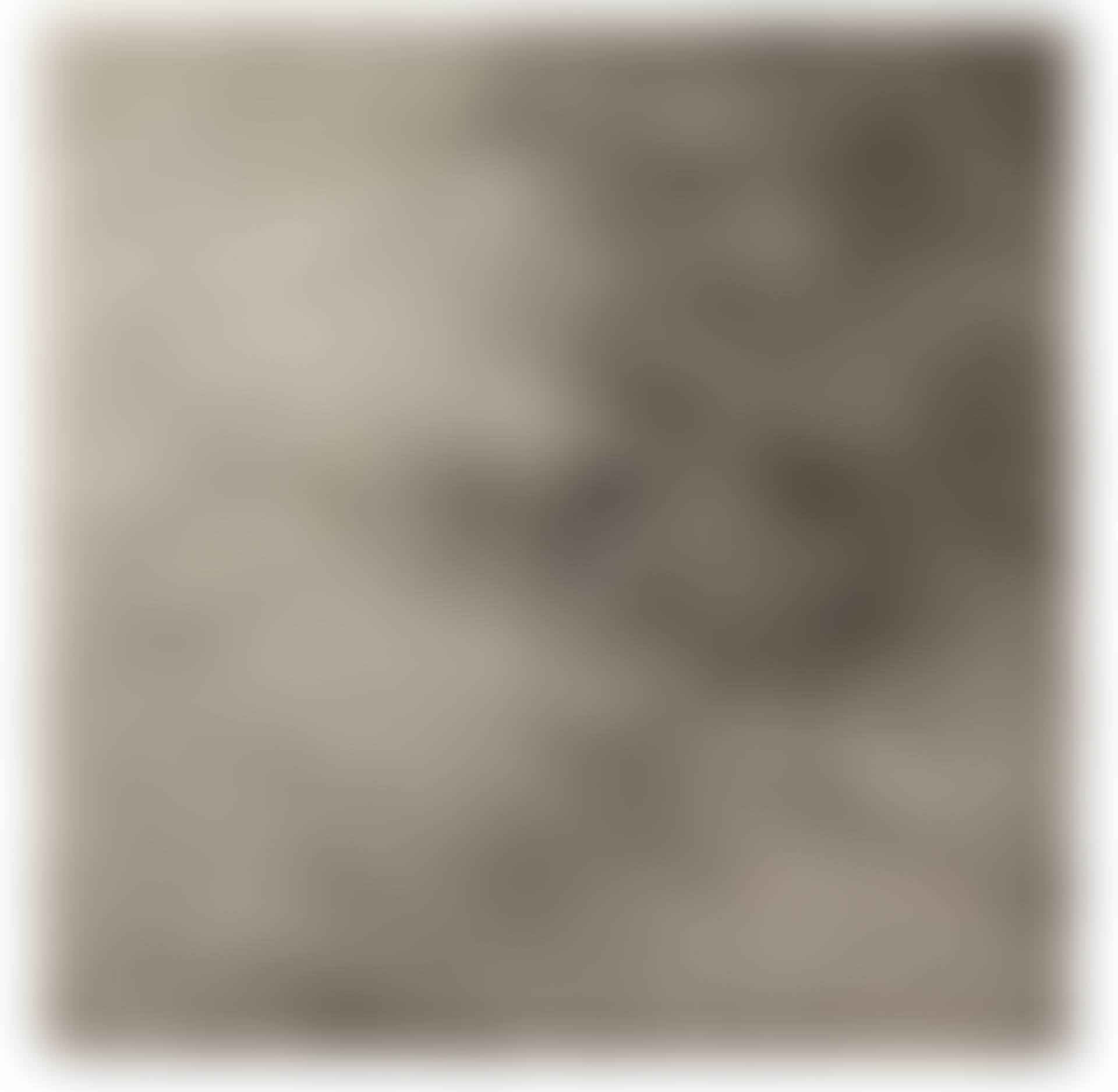 BEWEGTES FELD (preview)