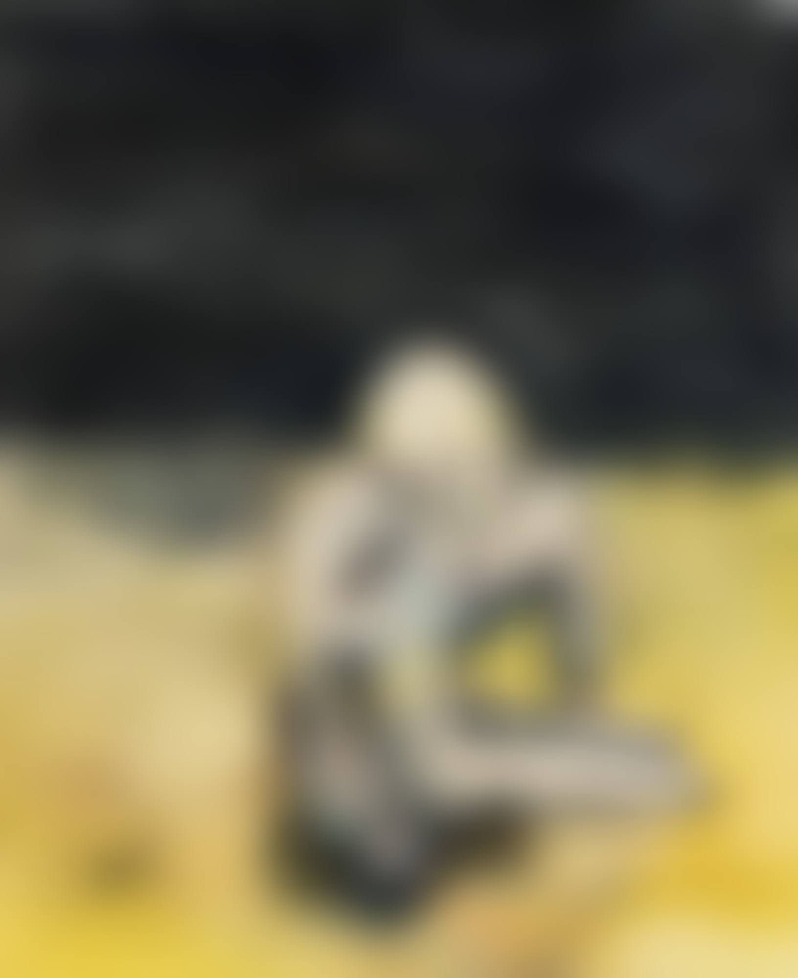 GROSSE NACHT IM EIMER (preview)