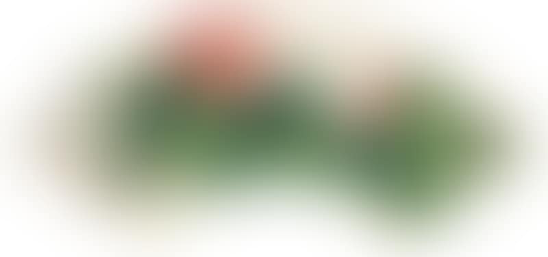 Hibiscus Spring (preview)