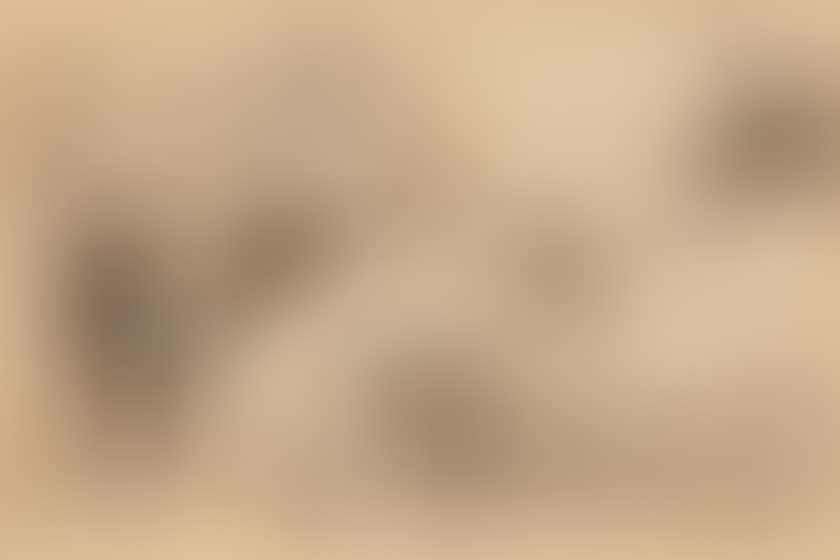 Study for the Potomak (preview)