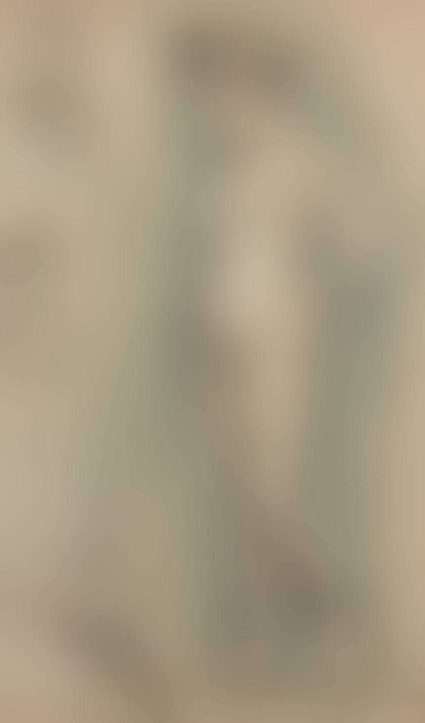 Naked at her toilet and two peasant studies (preview)