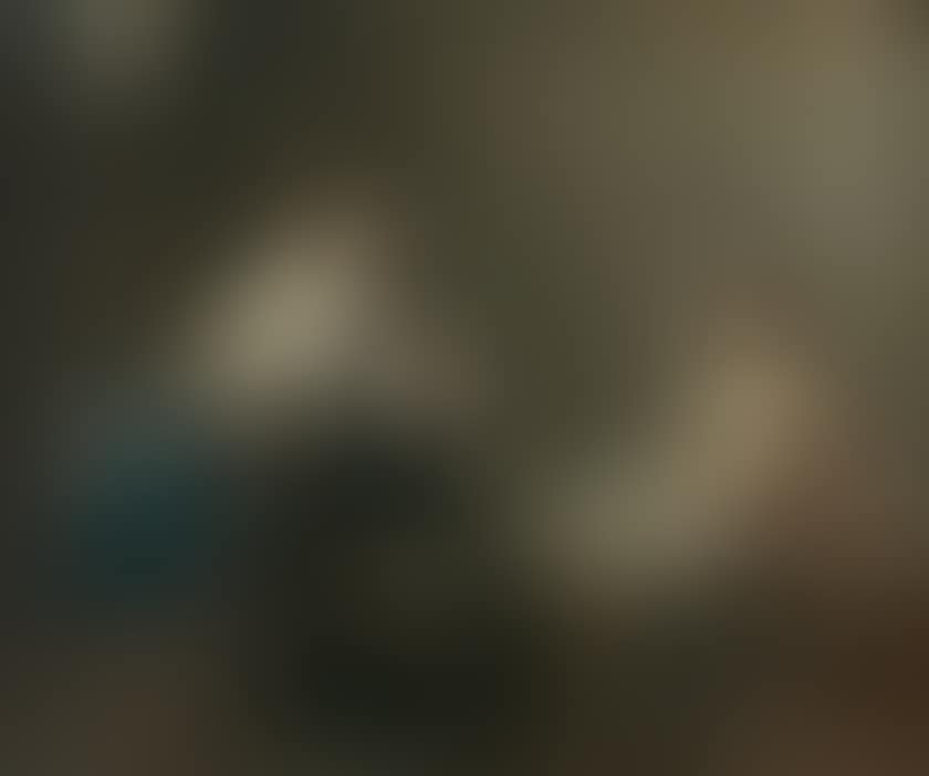 The artist's studio (preview)