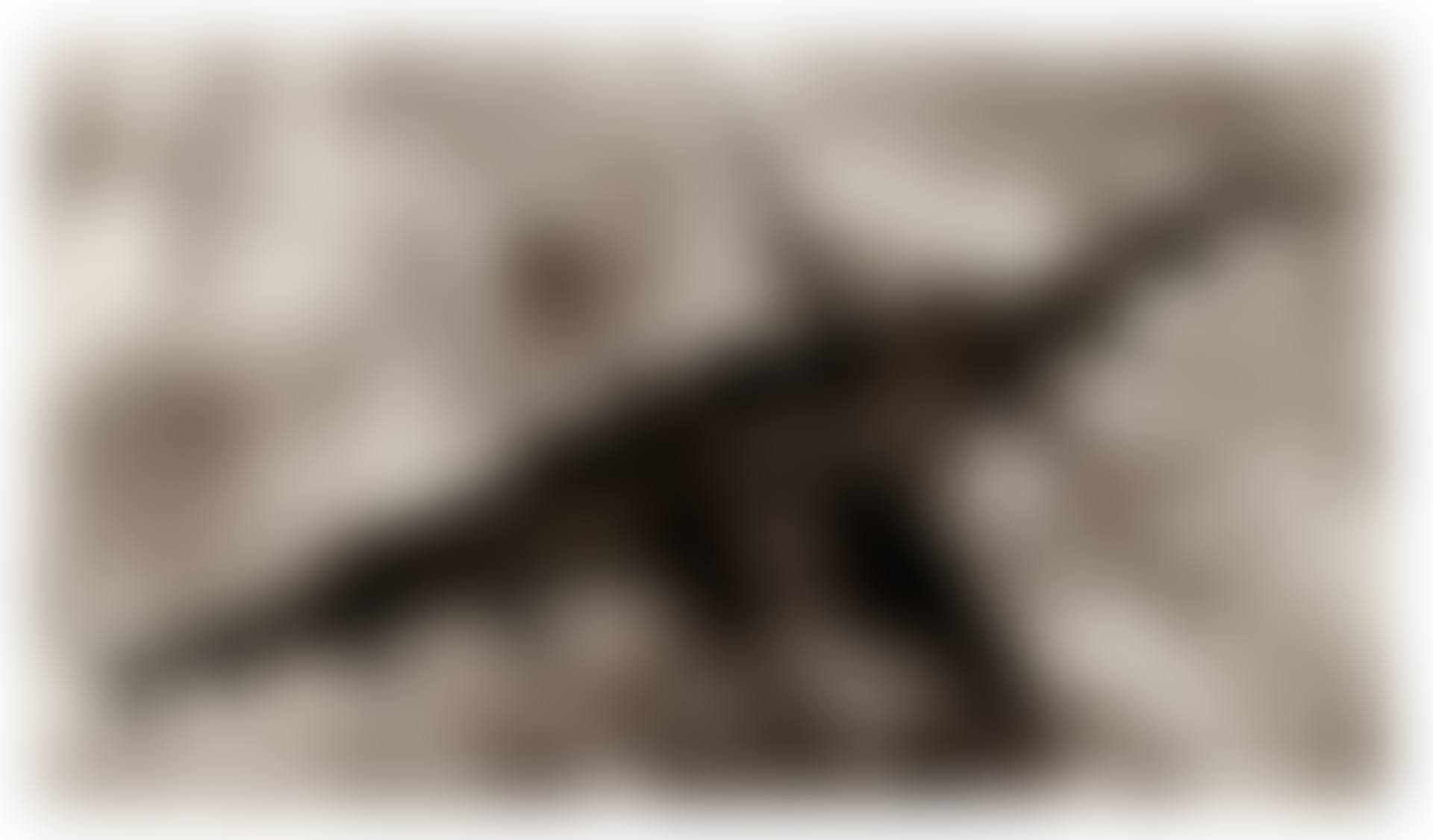 Study for F-14 (preview)
