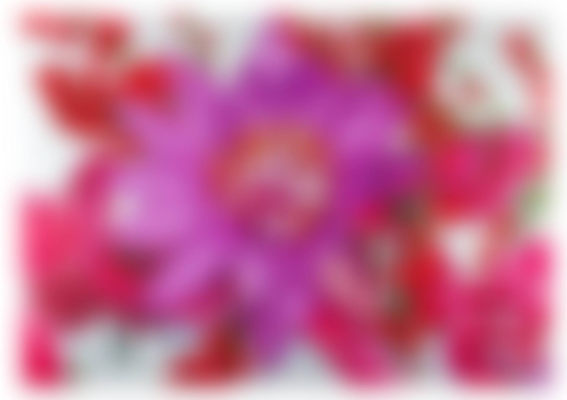 Ice Desert Rose (preview)