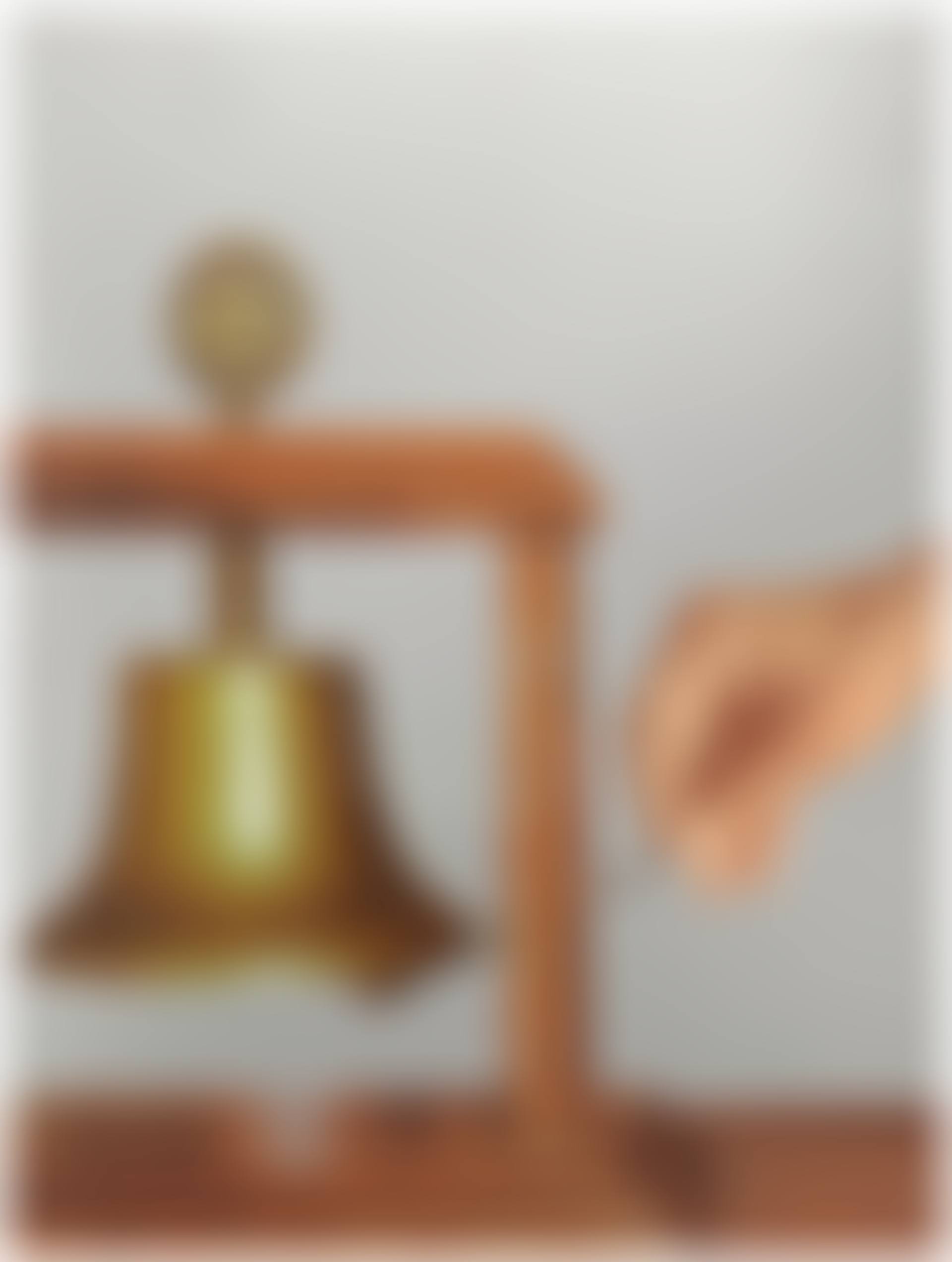 Campana della solidarietà (preview)