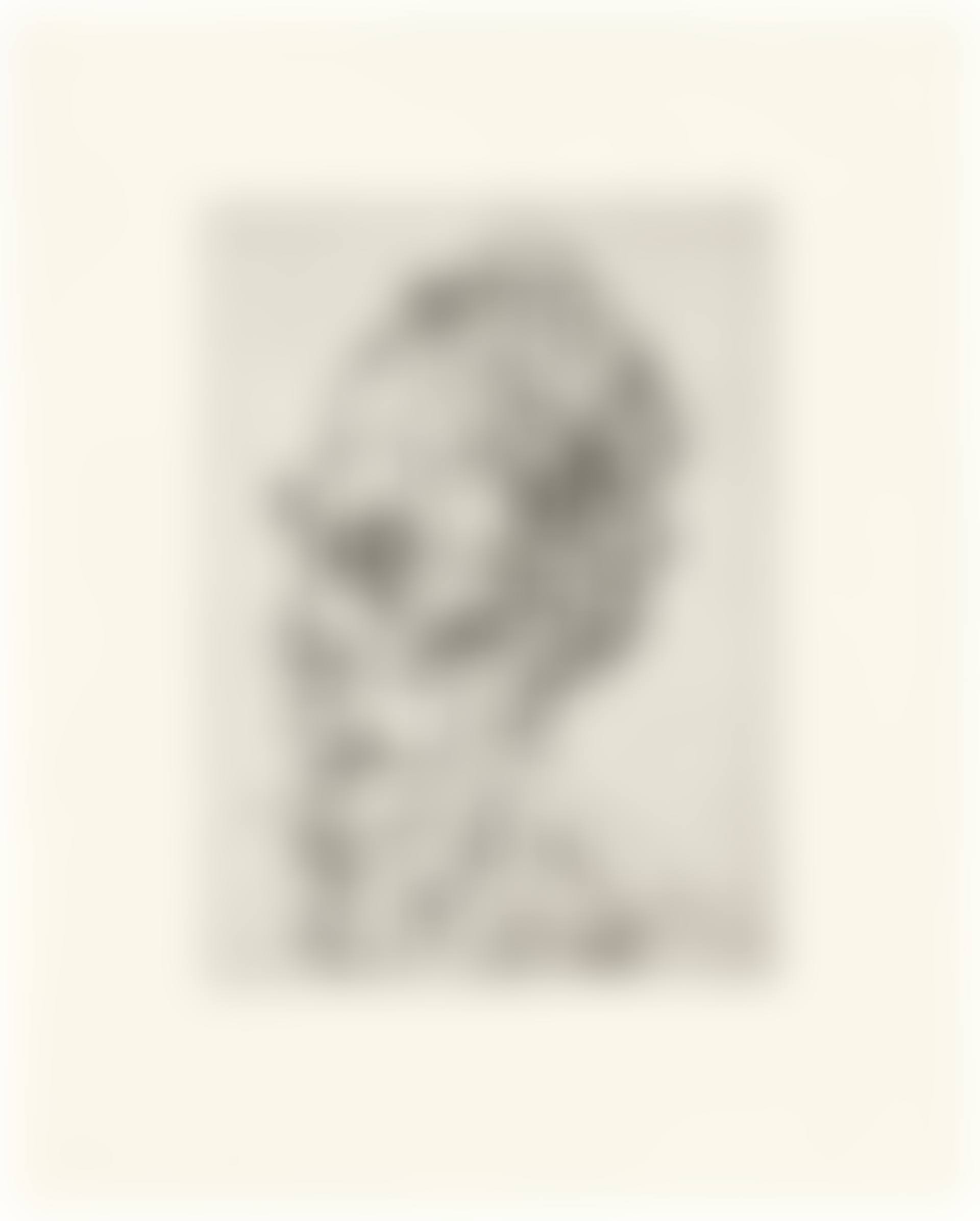 William Feaver (preview)