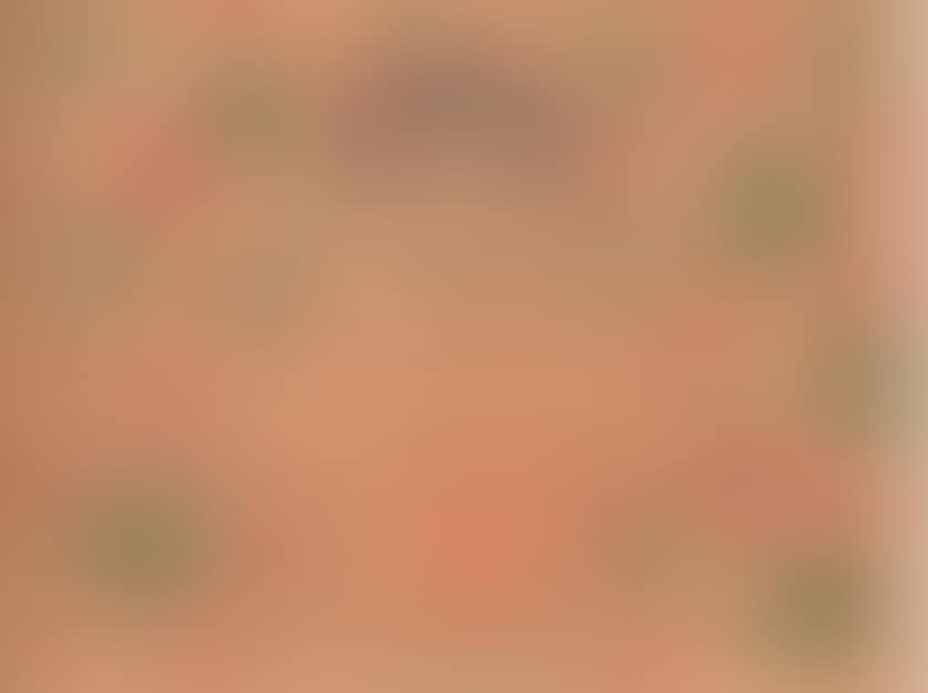 CHARACTER (preview)