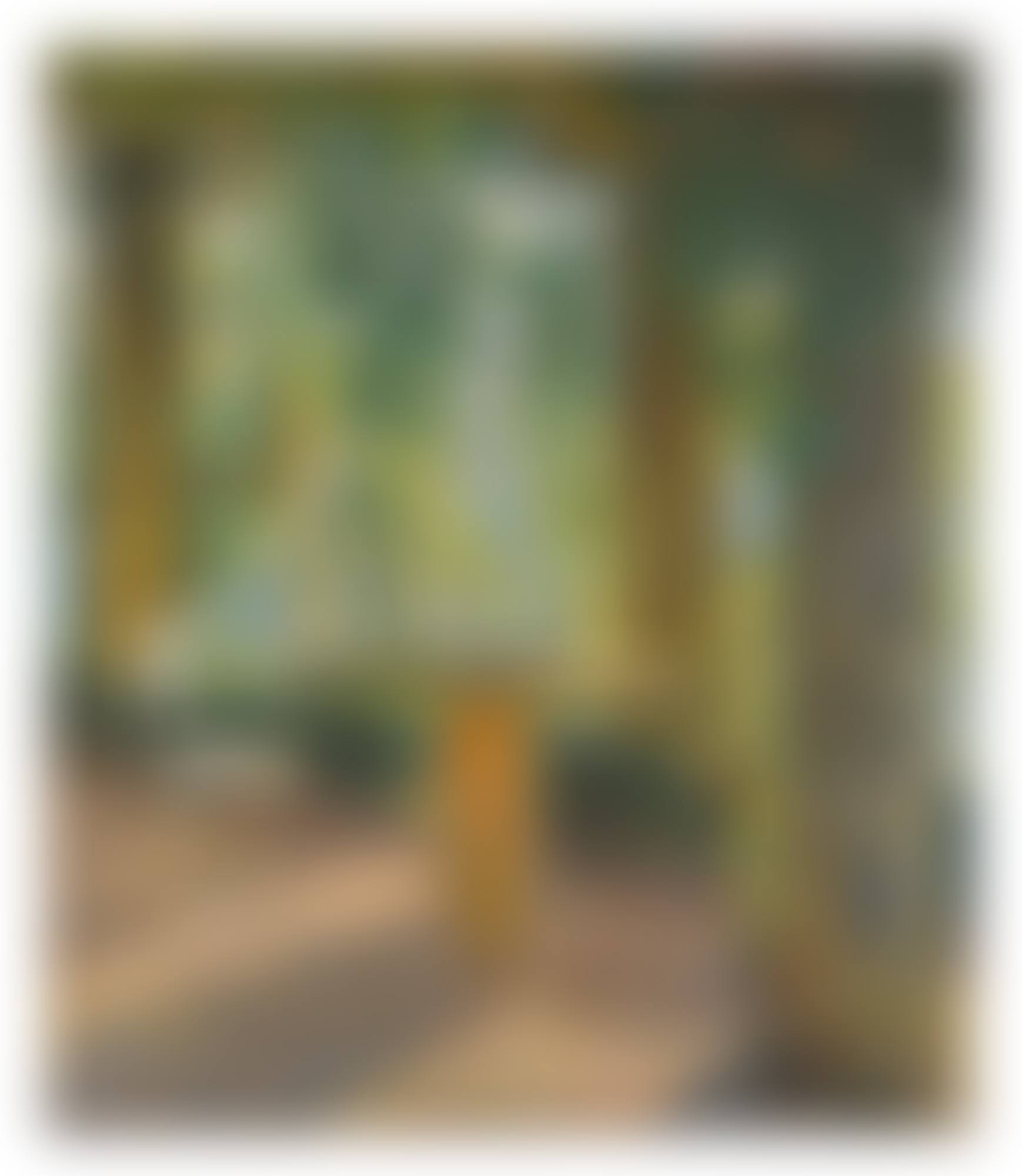 PERGOLA À LA CHAISE VIDE, UN ÉTÉ À MARQUAYROL (preview)