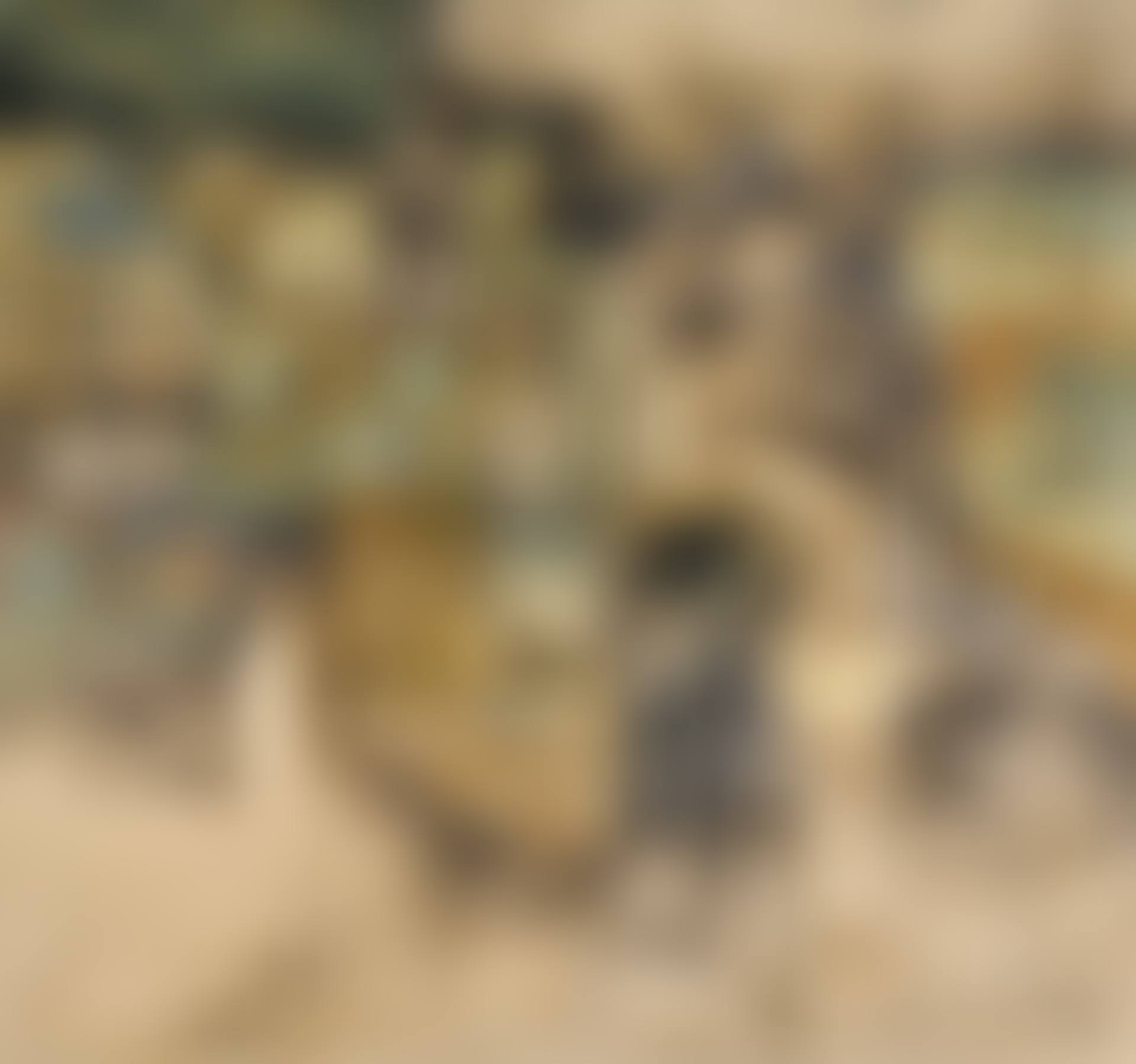 UNTITLED (BENARES GHAT) (preview)