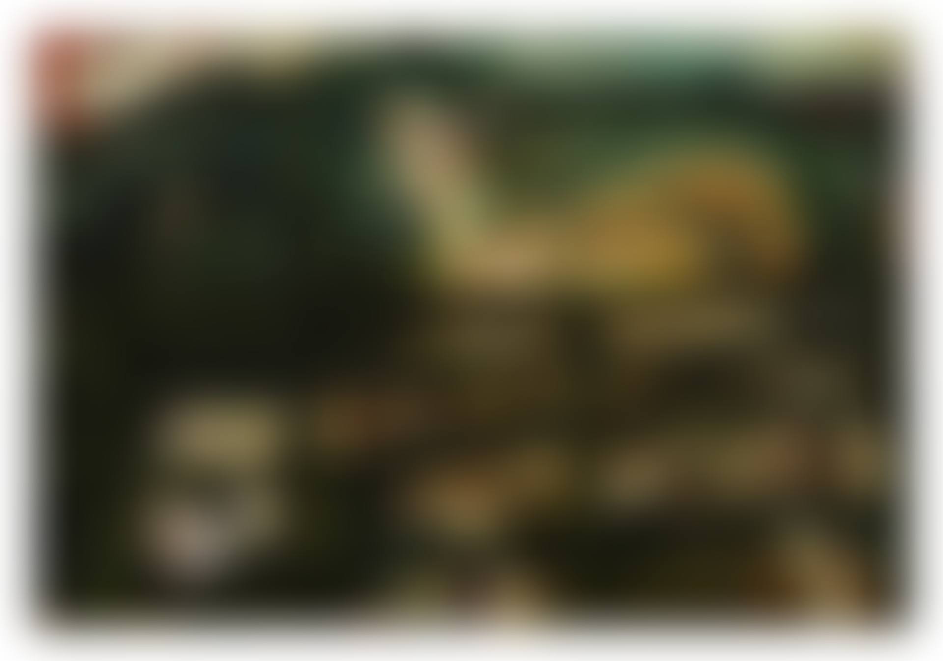 LES MOUTONS (preview)
