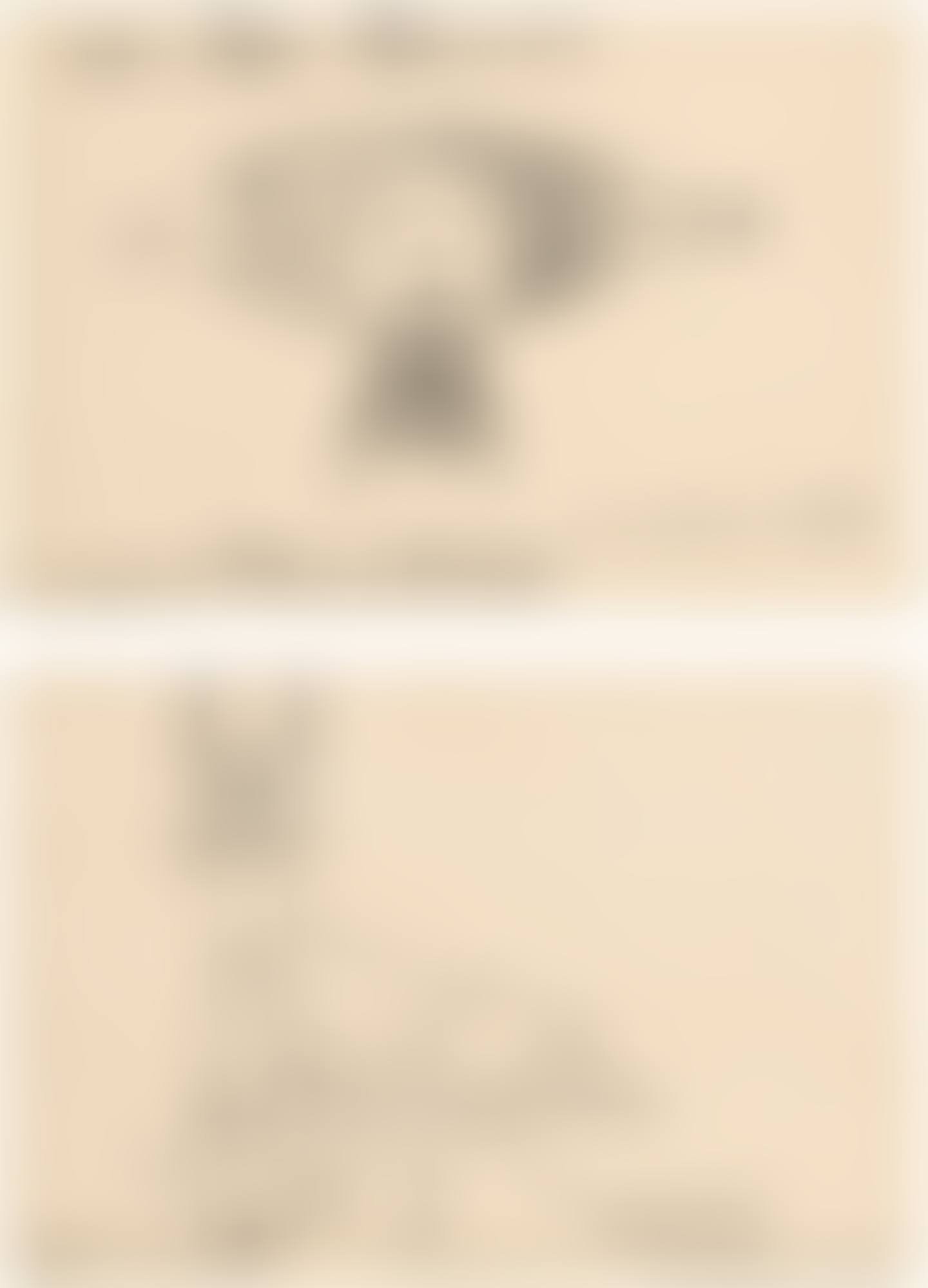 TWO DRAWINGS : (I) SANS TITRE (II) SANS TITRE (preview)