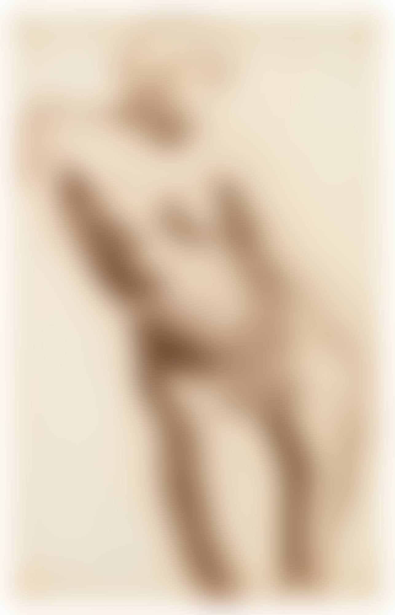 CROQUIS. NU DÉHANCHÉ I (preview)