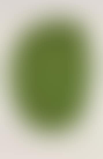 Green (Vert), from Suite of Twenty-Seven Color Lithographs (preview)