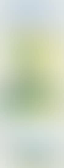 Landscape with Poet (preview)