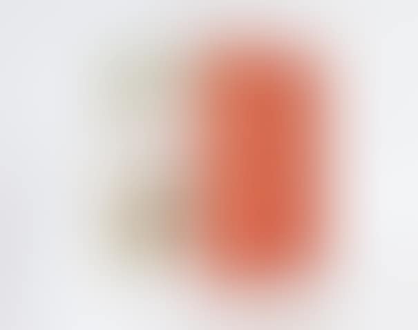 The Large Glass and Related Works, Vols. I-II (preview)