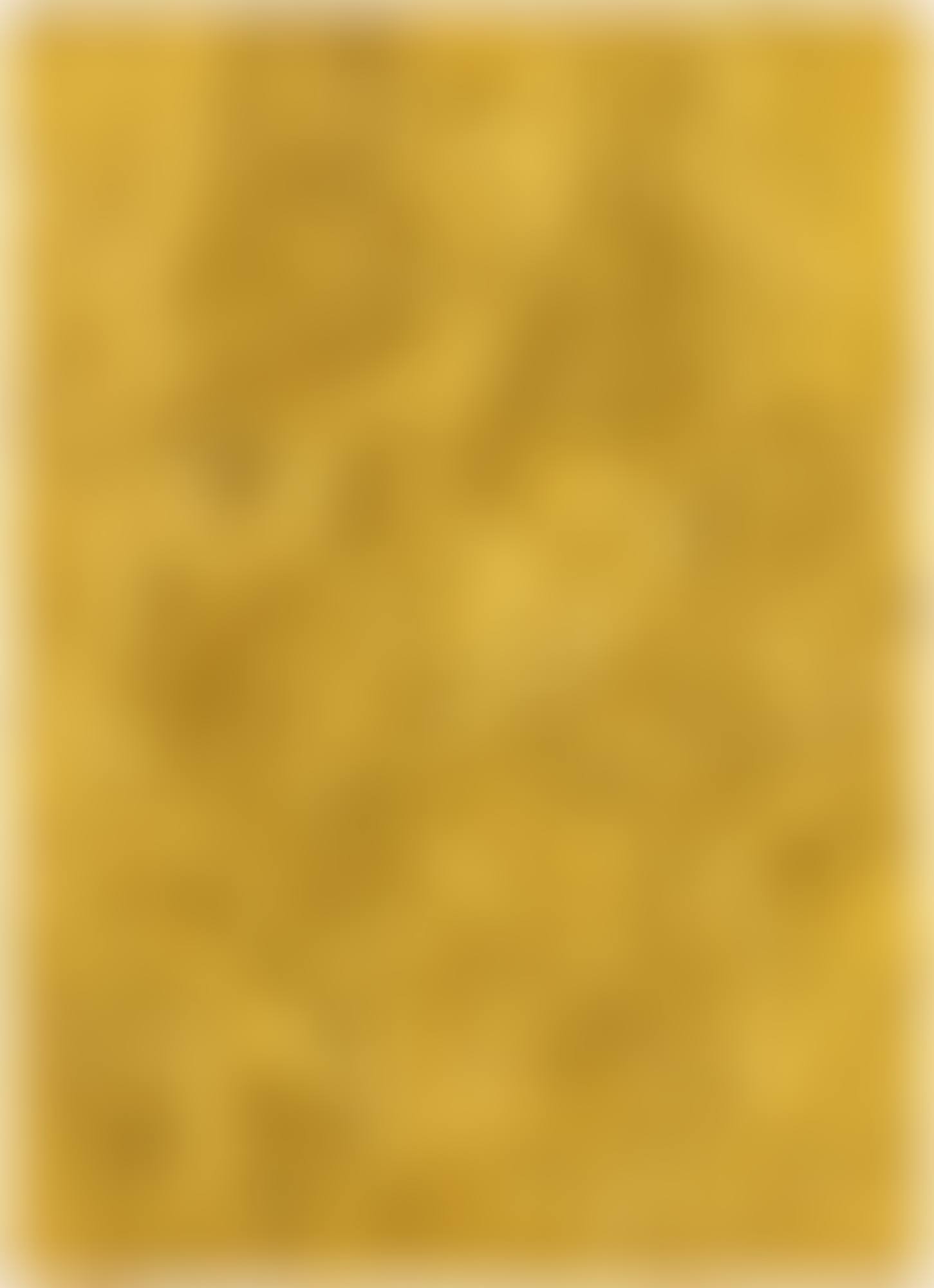 MONOGOLD SANS TITRE (MG 44) (preview)