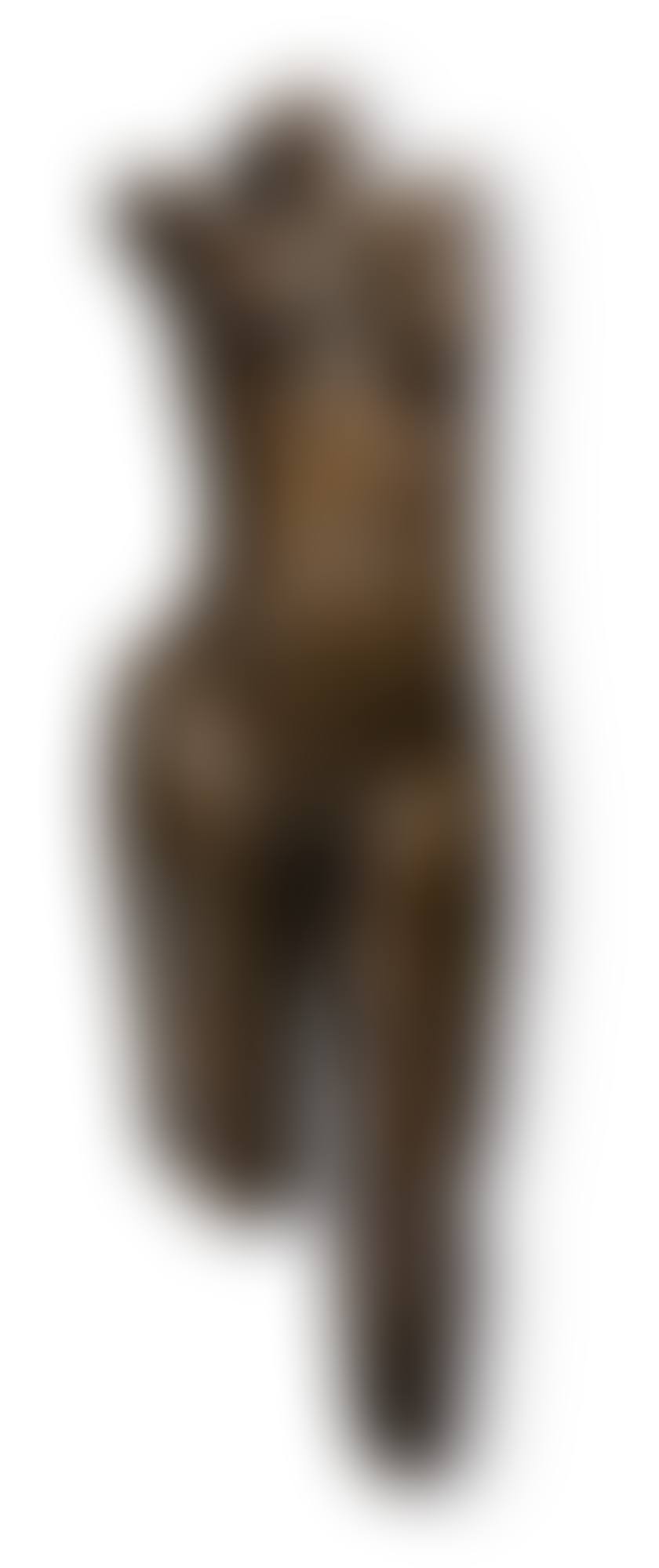 TORSE (preview)