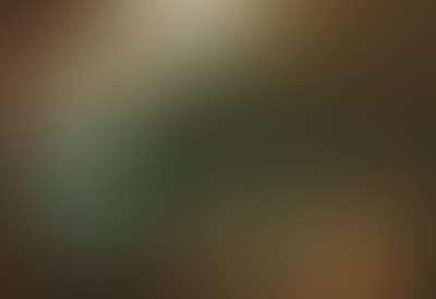 A wooded landscape with an amorous couple (preview)