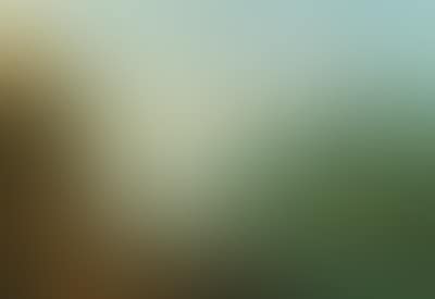 A river landscape with mountains (preview)