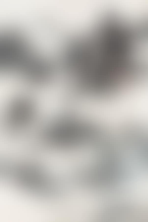 View on the Rhine (preview)