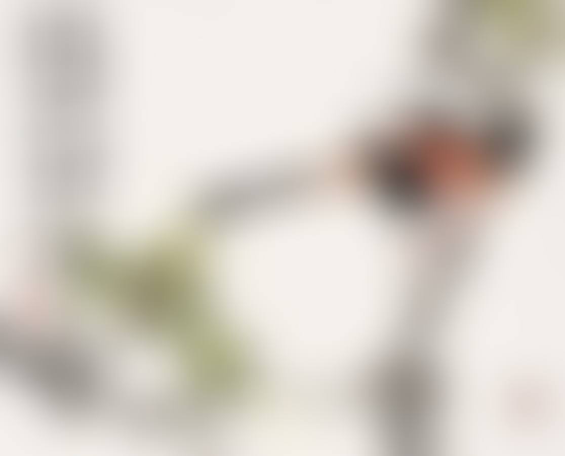 Bird Resting on A Branch (preview)