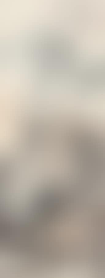Landscape (preview)