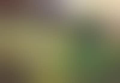 Meadow (preview)