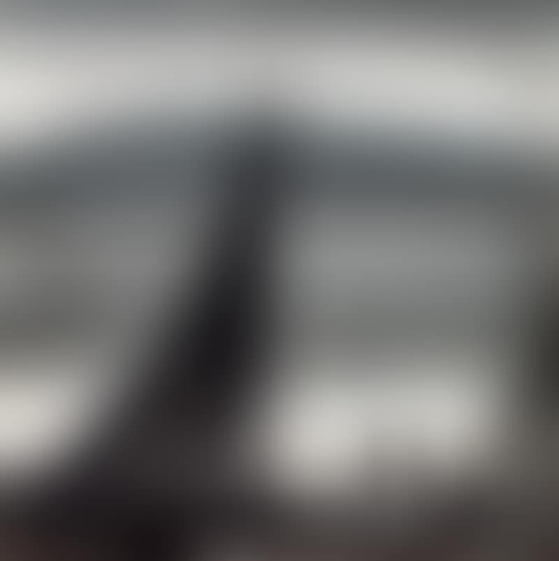 Ospreys (preview)