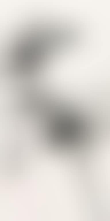Bamboo (preview)