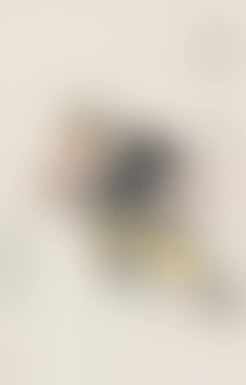 Chinese Opera Figure (preview)