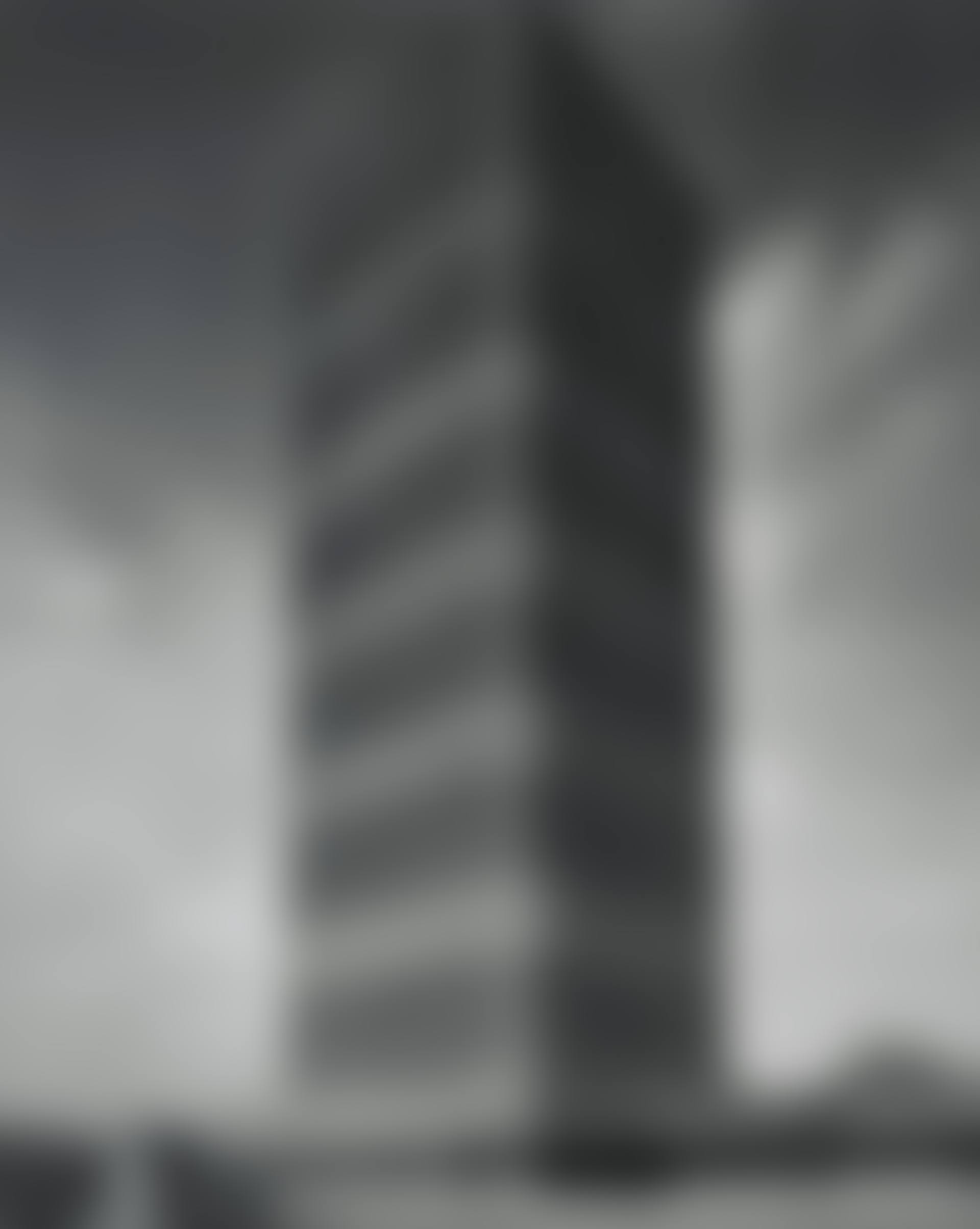 S.C. Johnson Building (preview)