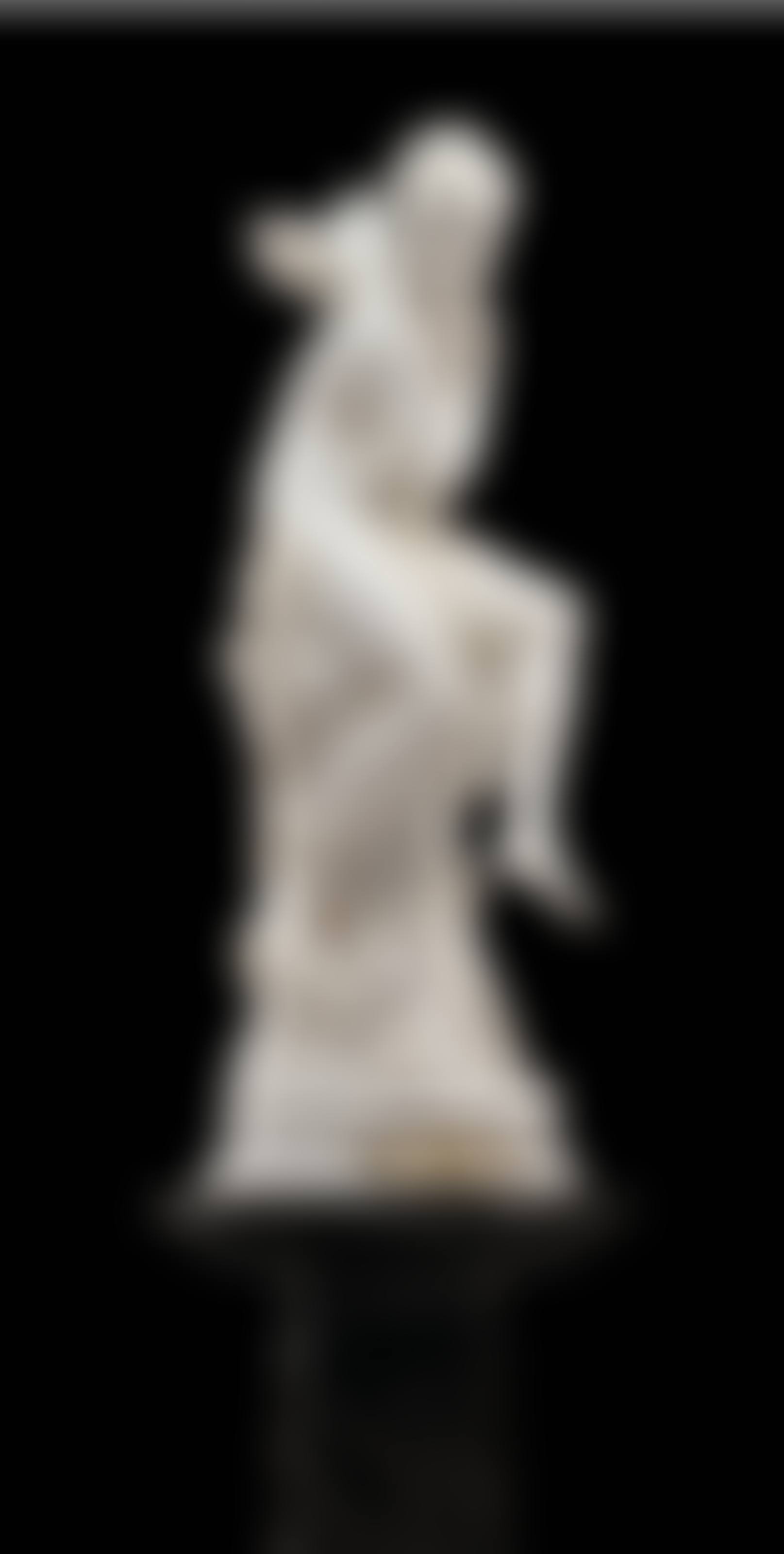 Libellule (preview)