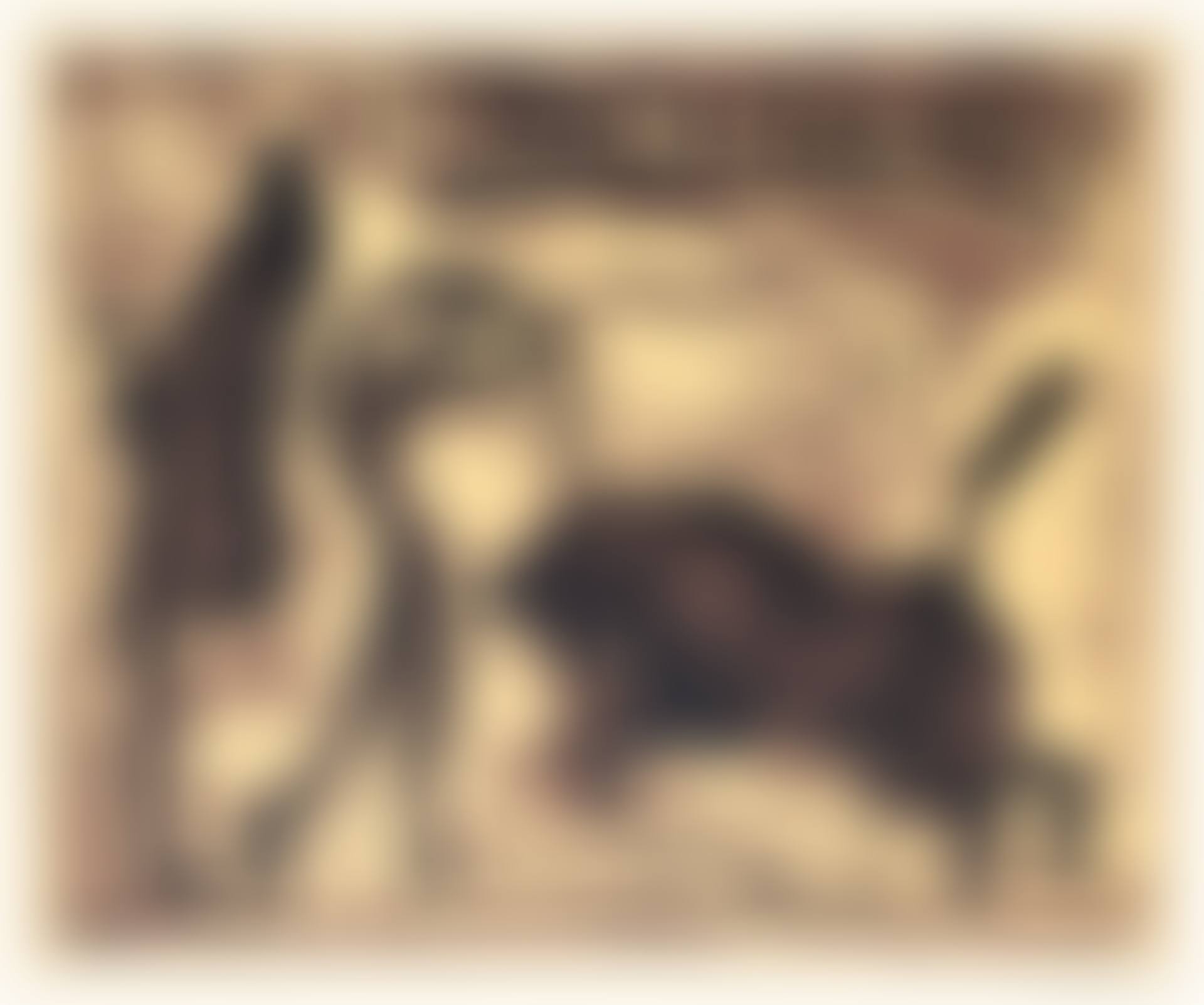 Les Banderilles (preview)