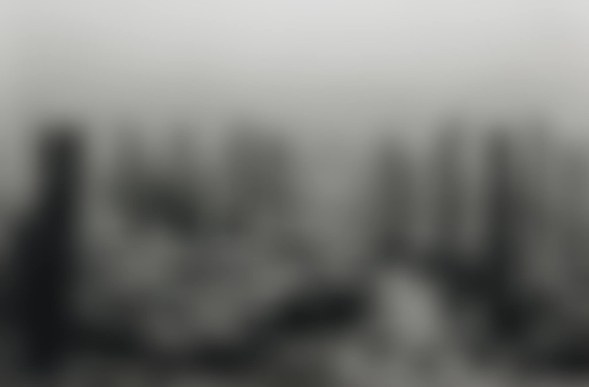 Permian Period (preview)