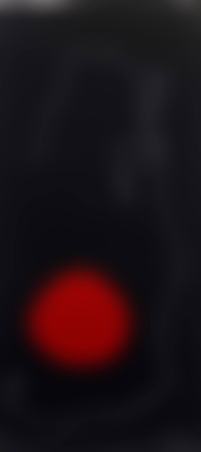 Bird in front of the Sun (preview)