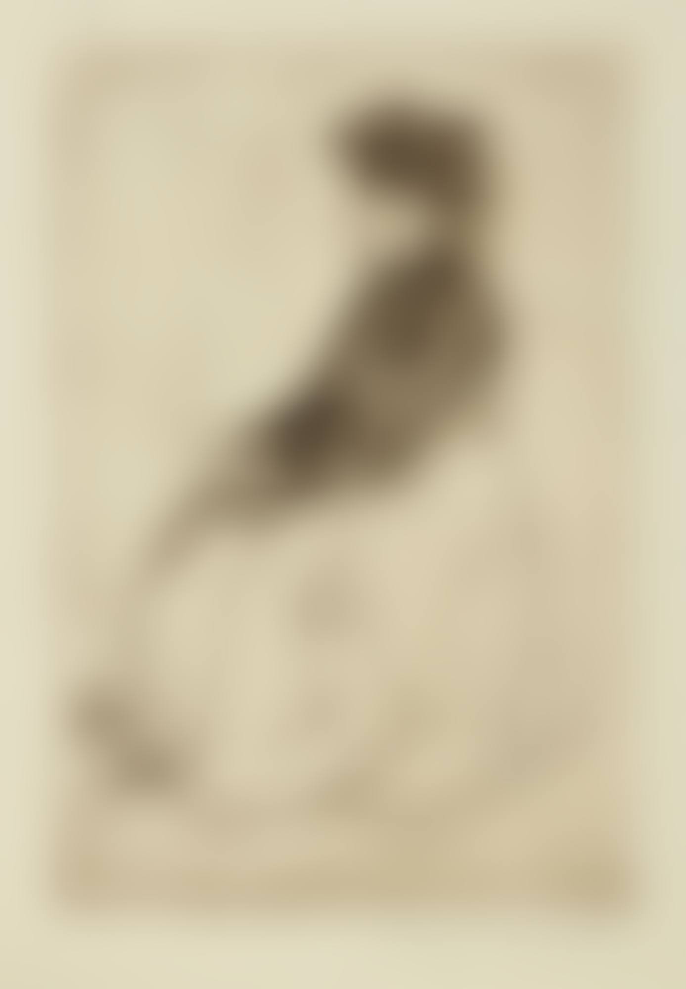REFLECTION (B. 131) (preview)
