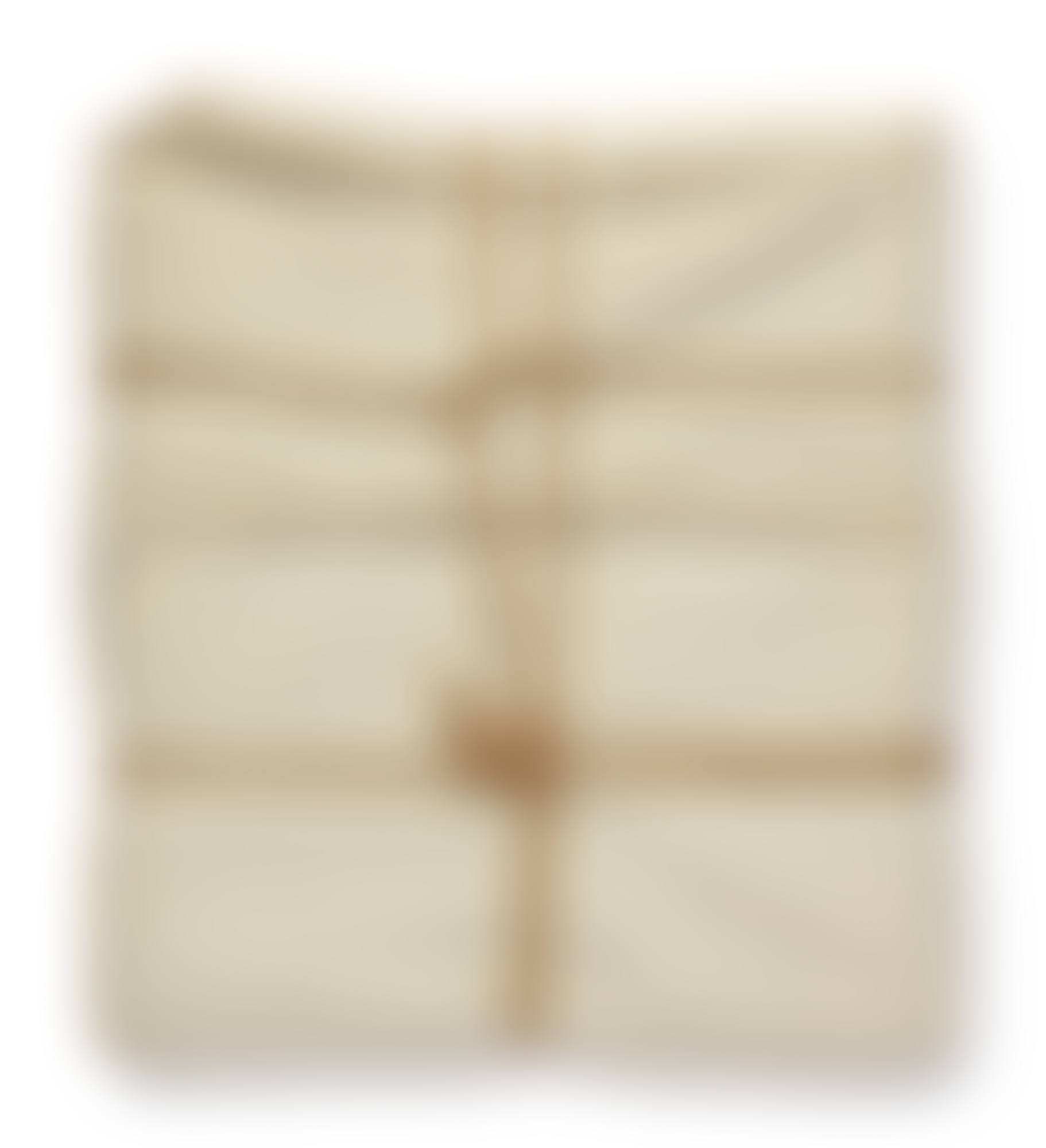 WRAPPED BOOK (SCHELLMANN 68) (preview)