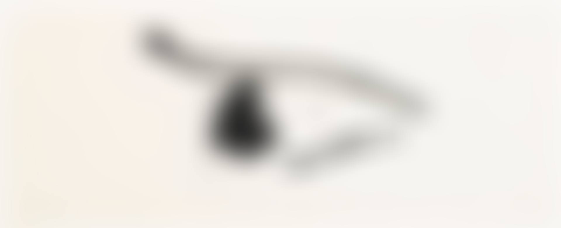 BLACK CONCENTRATED (W.A.C. 312) (preview)