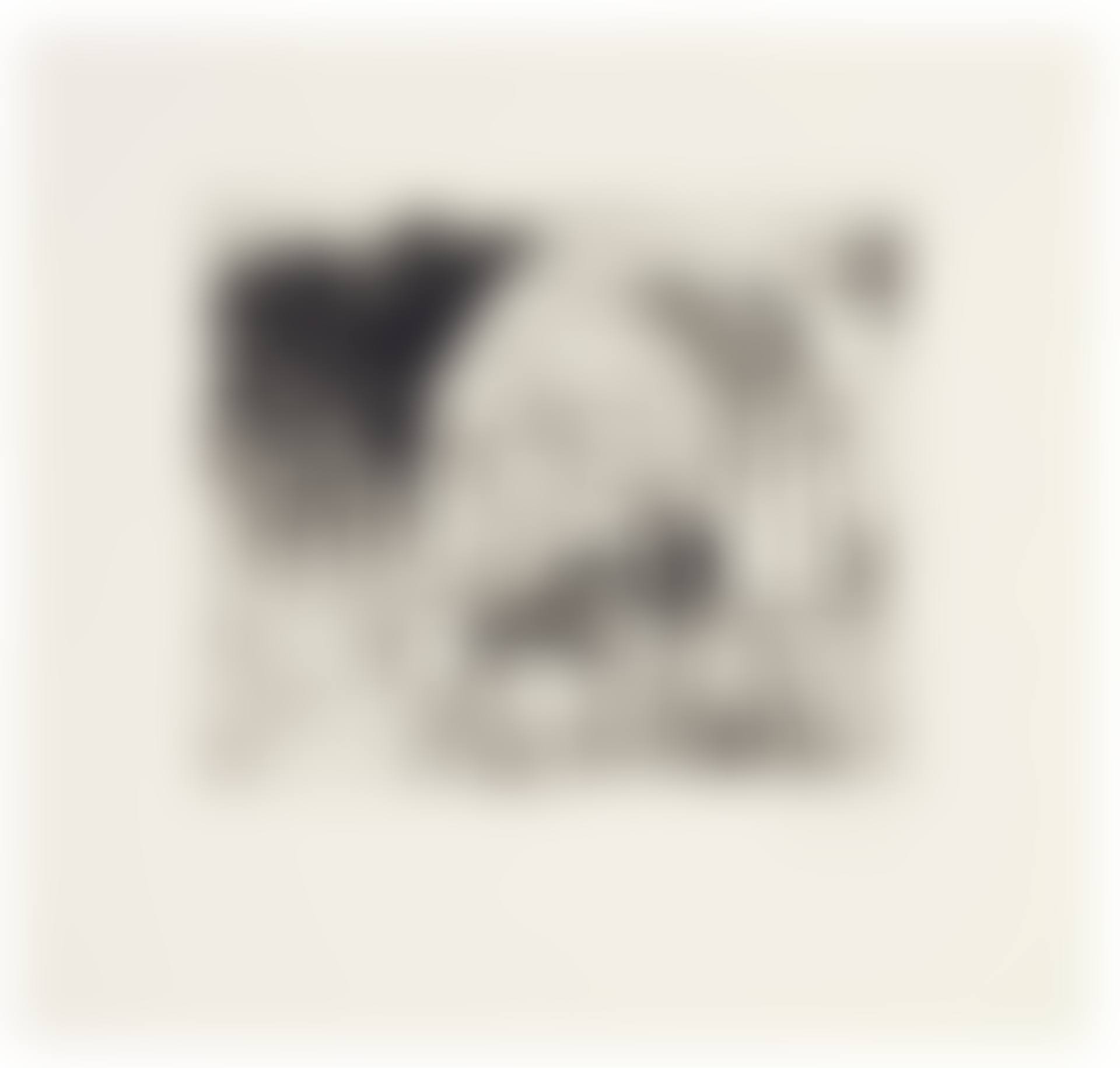 Untitled (Central Park Bandshell) (preview)
