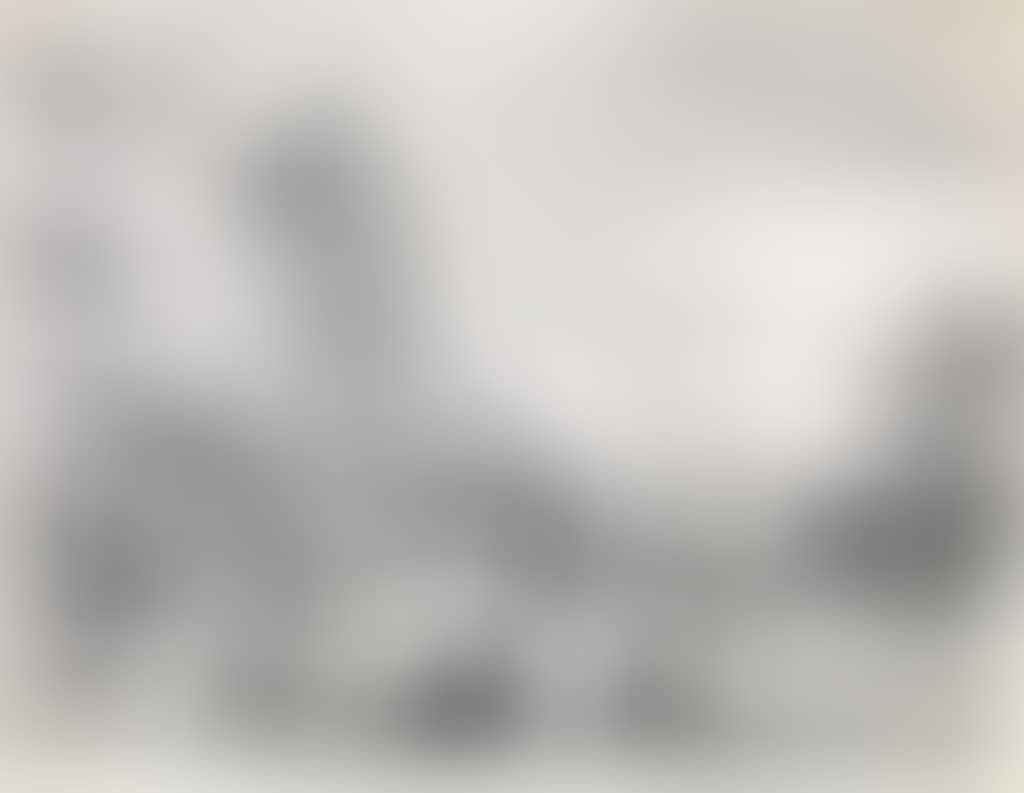 The Large Village Fair (preview)