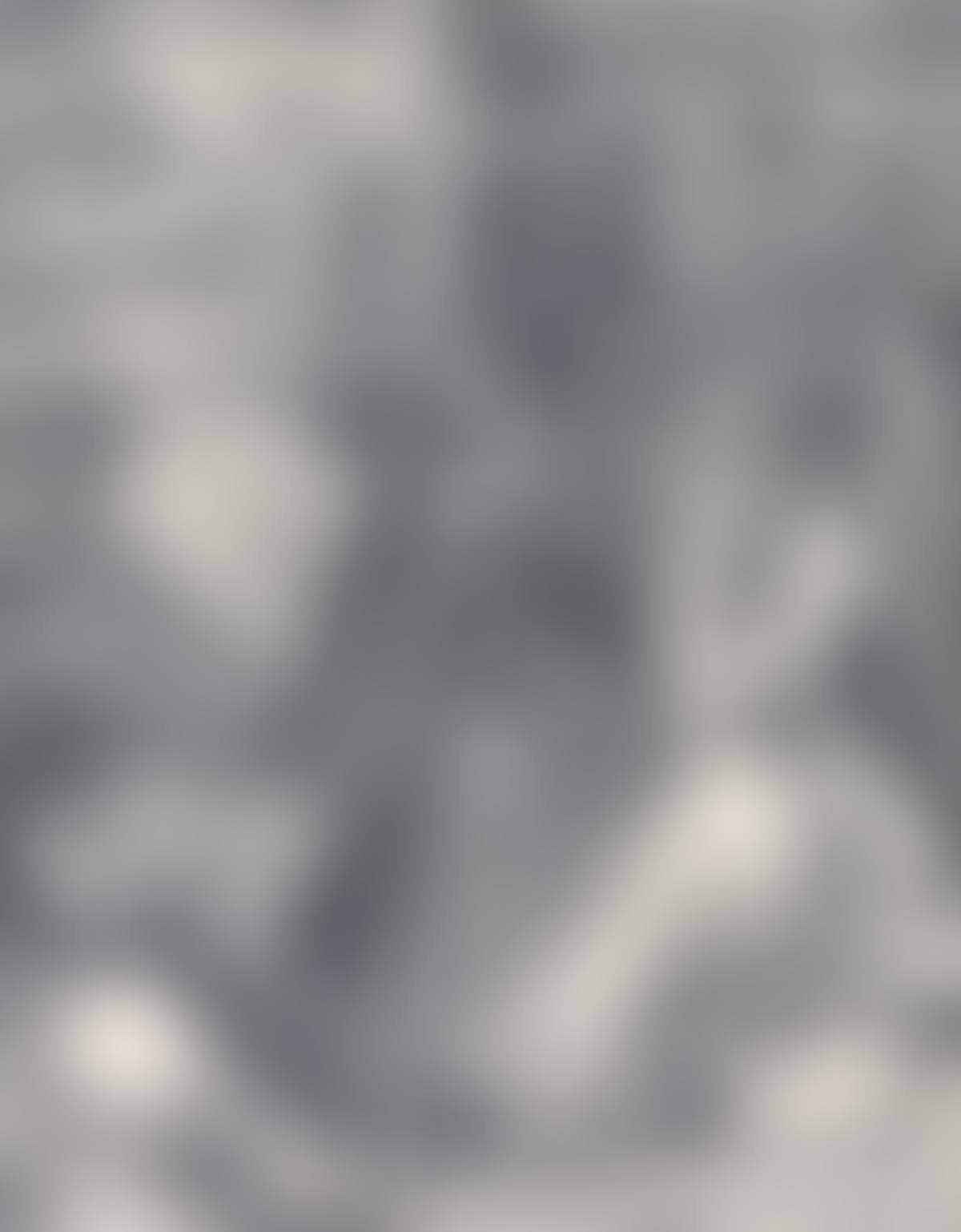Melencolia I (preview)